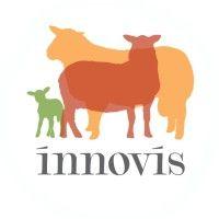 innovis breeding sheep logo image