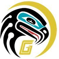 goldbelt nighthawk, llc logo image