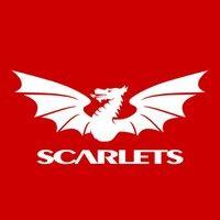 scarlets rugby