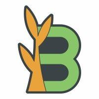 bennyfi logo image