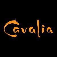 cavalia logo image