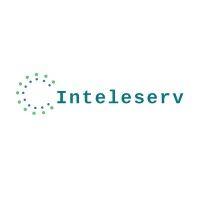 inteleserv s.r.l. logo image