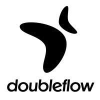 doubleflow logo image