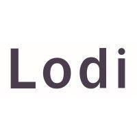 lodi ventures logo image