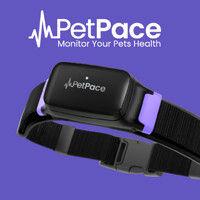 petpace logo image