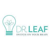 switch on your brain intl llc logo image