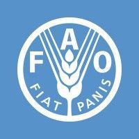 fao logo image