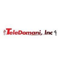 teledomani, inc. logo image