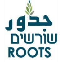 roots judur/shorashim logo image