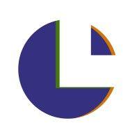 lsm consulting logo image