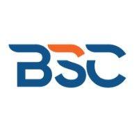 bsc analytics logo image