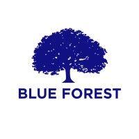 blue forest holdings logo image