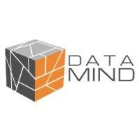 data mind logo image