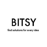 bitsy global logo image