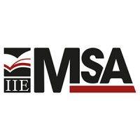 iie msa logo image