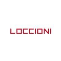 loccioni logo image