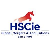 hscie · hübner schlösser & cie – global m&a logo image