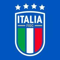 figc - federazione italiana giuoco calcio logo image