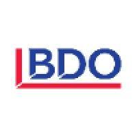 bdo mozambique logo image