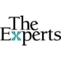 the experts, inc. logo image