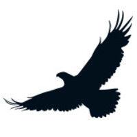 hawks estate agents logo image