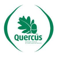 quercus