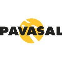 pavasal s.a. logo image