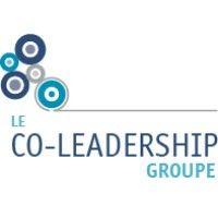 the co-leadership group l le co-leadership groupe