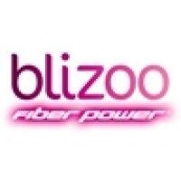 blizoo logo image