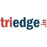 triedge.in logo image