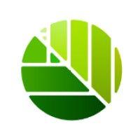 green dot coalition logo image