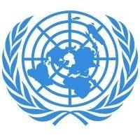 model united nations logo image