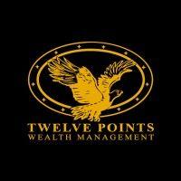 twelve points wealth management logo image