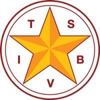 texas school for the blind and visually impaired logo image