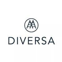 diversa aps - digital tilgængelighed logo image