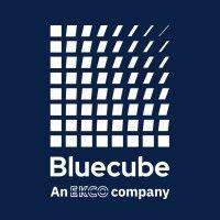 bluecube technology solutions - an ekco company