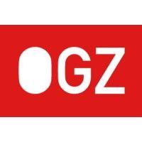 organisatie groep zuid (ogz) bv