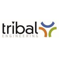 tribal engineering llc logo image