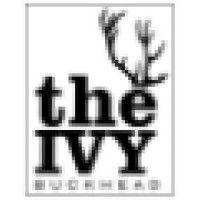 the ivy buckhead logo image