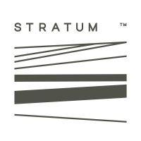 stratum international logo image