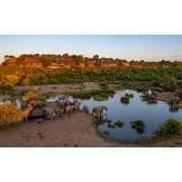 victoria falls safari lodge logo image