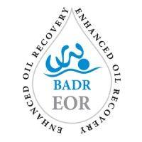 badreor logo image