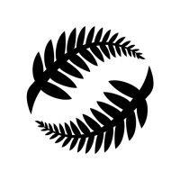 new zealand football logo image