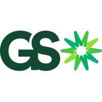 greenspark software logo image