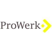 prowerk gmbh logo image