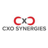 cxo synergies