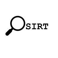 osirt ltd logo image