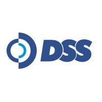 dss serviços de tecnologia da informação logo image