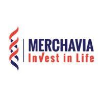 merchavia holdings and investments ltd