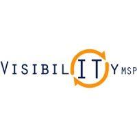 visibility msp logo image